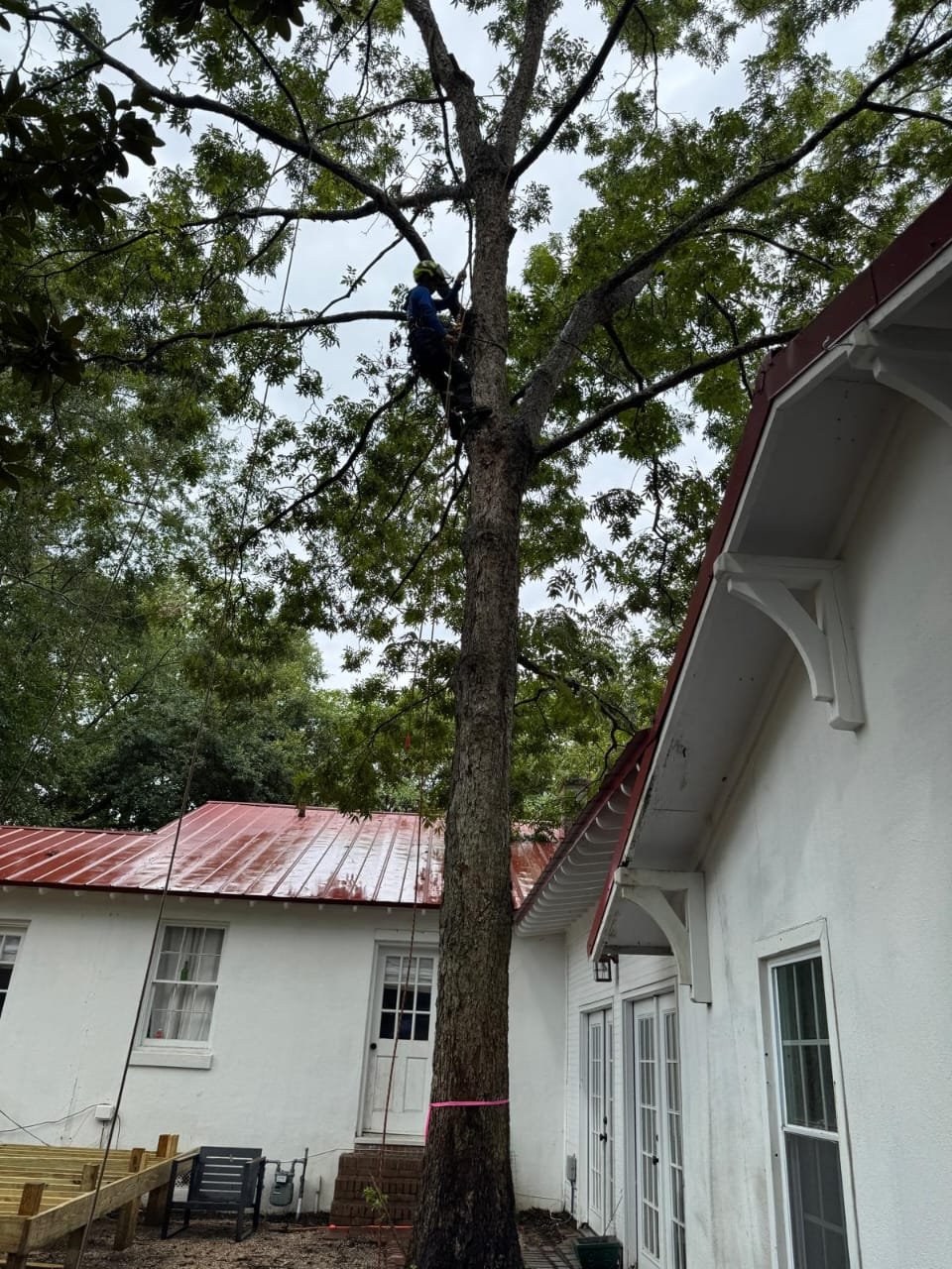 Lion Tree Service and Landscaping LLC project photo 24
